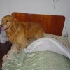 recomendaciones (17)